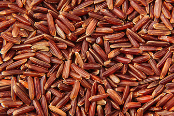 Red rice close-up background. Heap wild brown unpolished rice for vegetarians.
