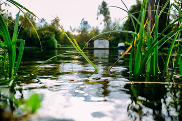 Water closeup 