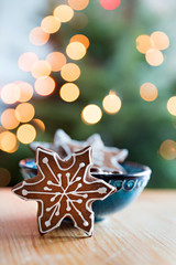 gingerbread cookie in bowl