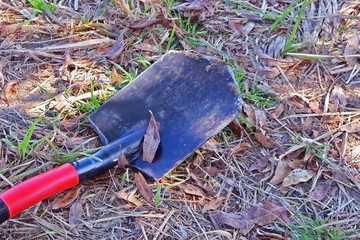shovel