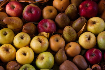 Frutti autunnali
