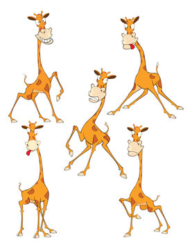 Set Cartoon Illustration. A Funny Giraffe for you Design