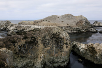  Point Lobos
