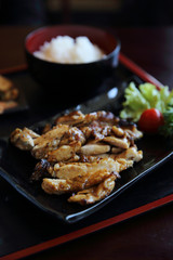 Grilled Chicken teriyaki rice on wood background