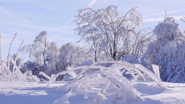 Winterlandschaft in der Rh&ouml;n