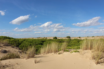 deserto doñana 
