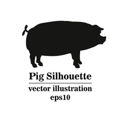 Vector silhouette of pig, hand drawing .