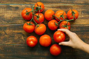 Fototapeta na wymiar Tomatoes with branch