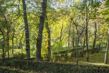 El Retiro park, Madrid, Spain
