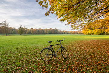 Fototapeta premium Bicicletta in autunno all'Englischer Garten di Monaco di Baviera, Germania 