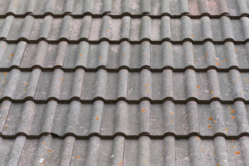 Old building roof tiles with moss and mold