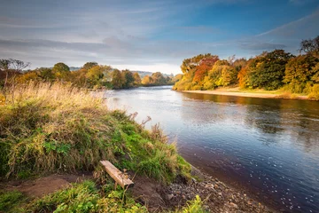 Rolgordijnen Rivier River Tyne formed from North and South Tynes, when the rivers converge near Warden in Northumberland. Also known as, The Meeting of the Waters, seen here in autumn