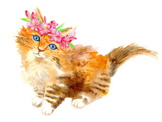 Ginger kitty with a flower wreath.Watercolor hand drawn illustration.Postcard with cat on a white background.