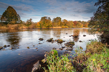 River South Tyne in Autumn, just above the confluence with the North Tyne, near Warden, Northumberland