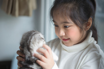 Fototapeta na wymiar Happy little Asian girl hugging lovely scottish fold kitten