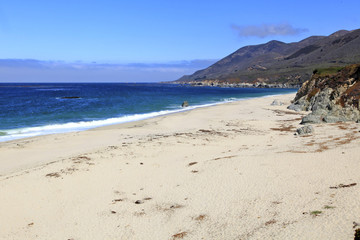 Plage de Point Lobos