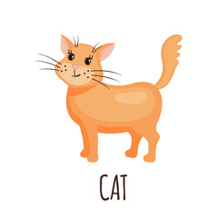 Cute cat in vector style.