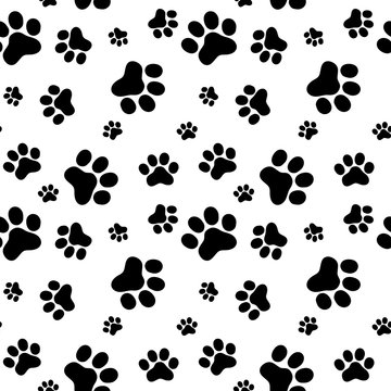 Pattern of animals paws, flat syle, vector illustrartion