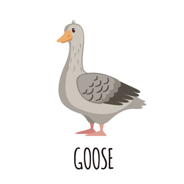 Cute Goose in flat style.