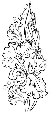Black and white sketch of beautiful iris flower. Drawing made on computer by graphic tablet. Vector  image.