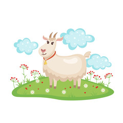 Obraz na płótnie Canvas Cute goat on a meadow.