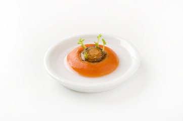 リボーンベジタブル「再生野菜」にんじん