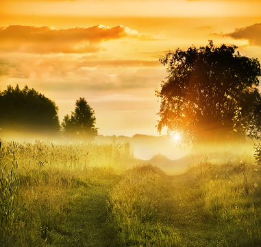 dirt road among meadows and trees in the morning mist. Beautiful soft morning landscape. warm soft gentle morning sun with sparkling dew. soft focus.
