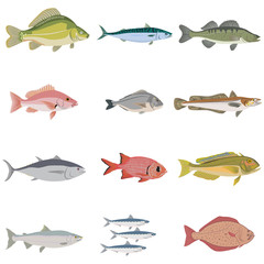 Vector set of difference kind of fish, river and sea food