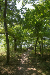 Fototapeta premium Wandern