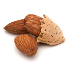 Almond nut in shell and shelled isolated on white background clo