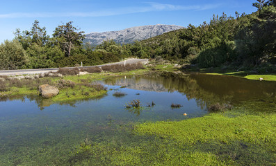 Road-to-mountain reflection