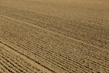 tillage