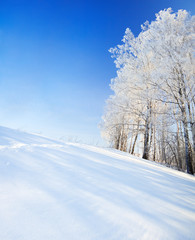 Fototapeta na wymiar winter panorama