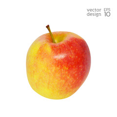 Realistic red and yellow apple isolated on white background. Natural fruit. Collection of dietary products. Elements for design. Vector illustration EPS 10.