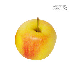 Realistic red and yellow apple isolated on white background. Natural fruit. Collection of dietary products. Elements for design. Vector illustration EPS 10.