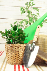composition of garden tools