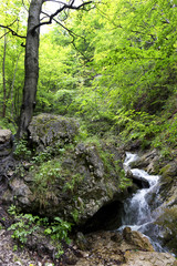 Fototapeta premium Little Fatra, the beautiful Mountains in Slovakia