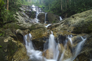 water stream and beautiful waterfall surrounded by green forest