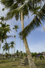 Fototapeta premium beautiful village scenery located in Terengganu, Malaysia. Surro