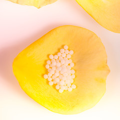 homeopathic alternative medicine on yellow flower petal