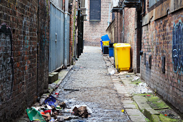 Wheelie bins in a garbage strewn alleyway