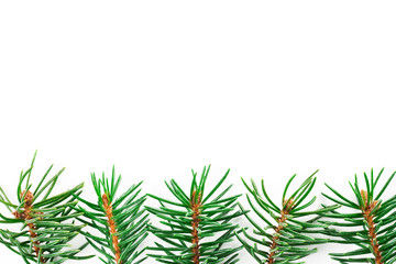Christmas decoration with pine tree branches on white background.