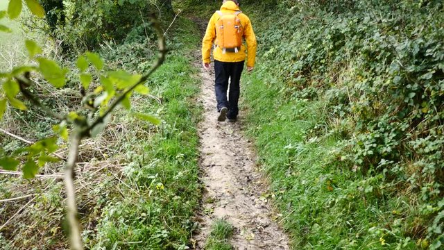 randonneur en automne