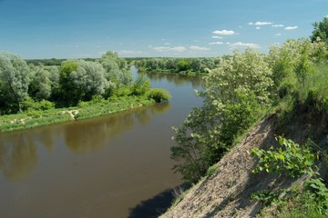 Naklejka na ściany i meble Bug River. Poland wschodnia.Dolina river with trees growing on the shore.