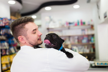 Veterinarian holding french bulldog puppy.