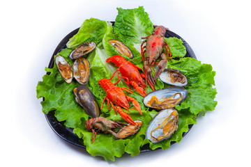 crayfish