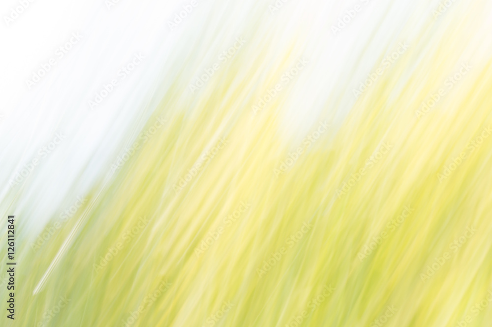 Canvas Prints blurred abstract background
