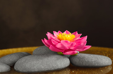 Fototapeta na wymiar Spa stones with beautiful flower on color background