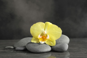Fototapeta na wymiar Spa stones with orchid flower on dark background