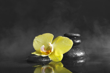 Spa stones with orchid flower on dark background